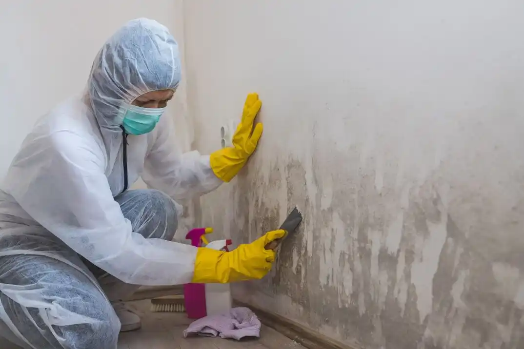 water damage restoration service Pleasant Plains